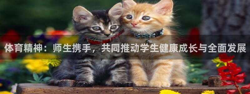 xc体育app官方网站：体育精神：师生携手，共同推动学生健康成长与全面发展