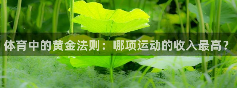 xc体育：体育中的黄金法则：哪项运动的收入最高？