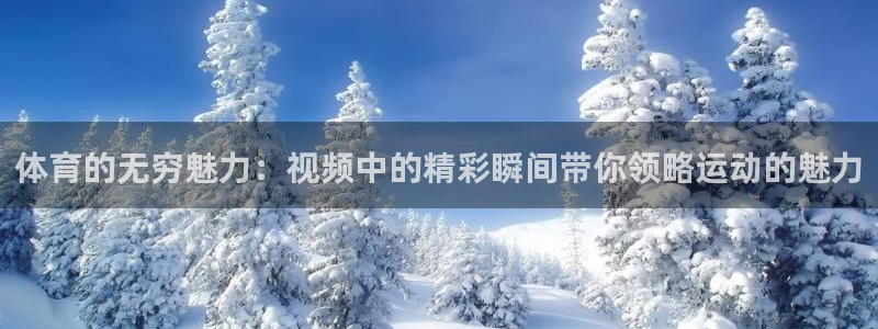 xc体育：体育的无穷魅力：视频中的精彩瞬间带你领略运动的魅力