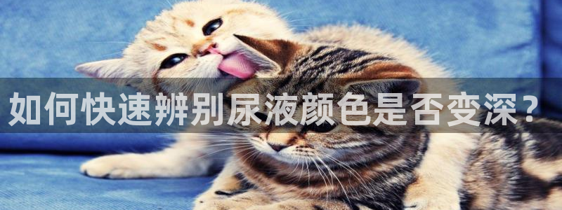 xc体育app官方网站：如何快速辨别尿液颜色是否变深？