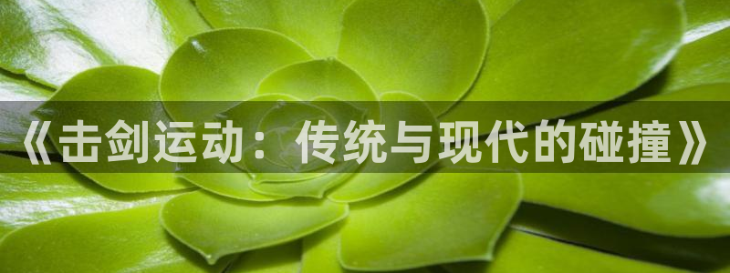 xc体育app官方网站：《击剑运动：传统与现代的碰撞》