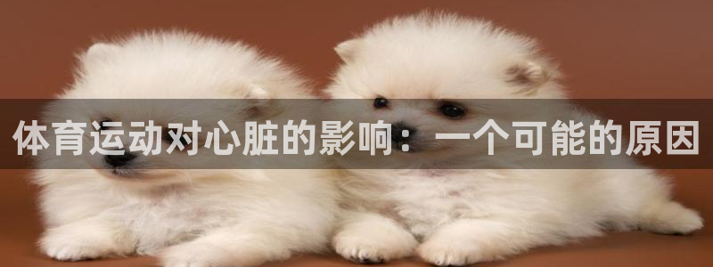 xc体育app官方网站：体育运动对心脏的影响：一个可能的原因