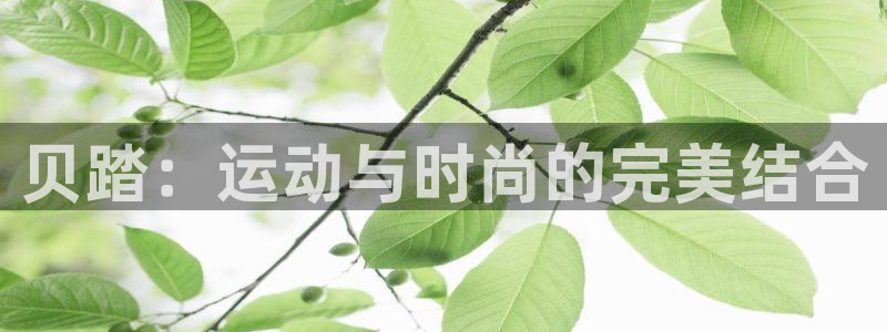 xc体育：贝踏：运动与时尚的完美结合