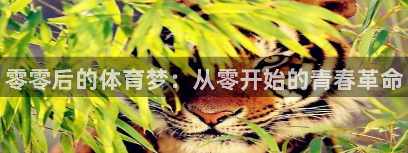xc体育app官方网站：零零后的体育梦：从零开始的青春革命